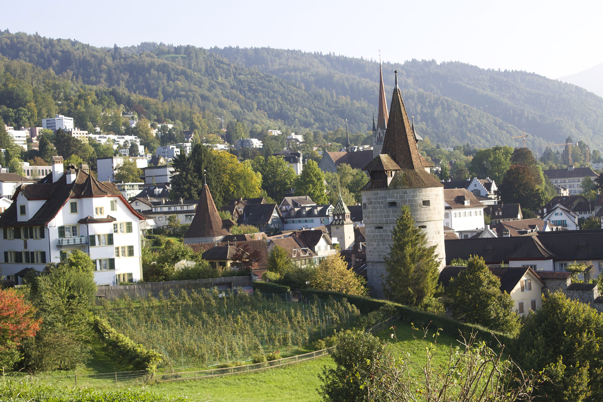 Zug